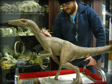 Velociraptor Sculpture in Pal Tiya Premium by Steven Saunders