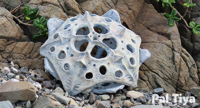 simple sculpture diatom on beach