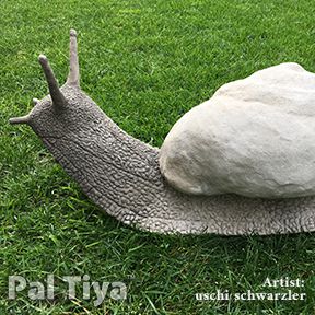 Snail substrate with pal tiya premium
