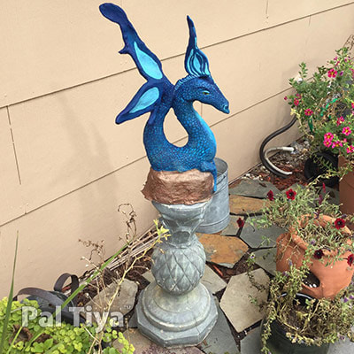 Blue Waterhorse in garden